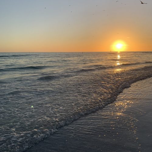Beach ocean sunset