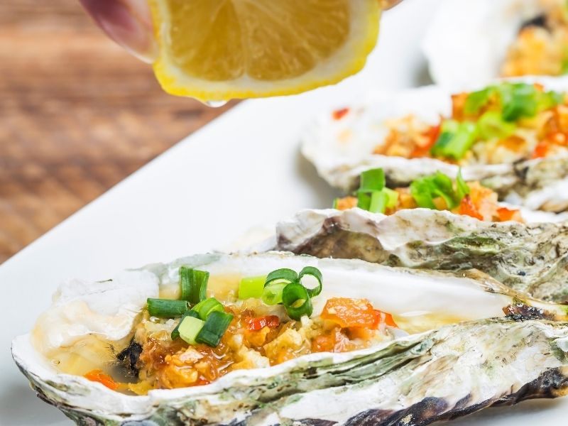 oysters plated