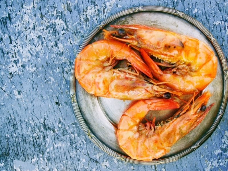 shrimp