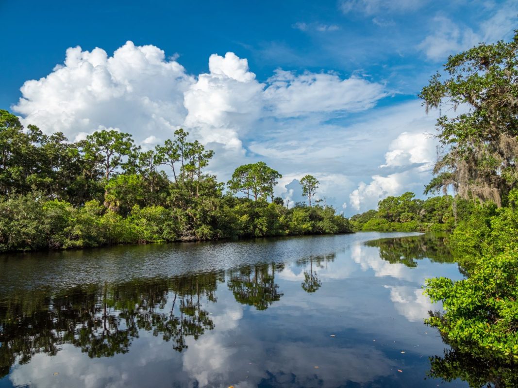 waterway in Florida state park
