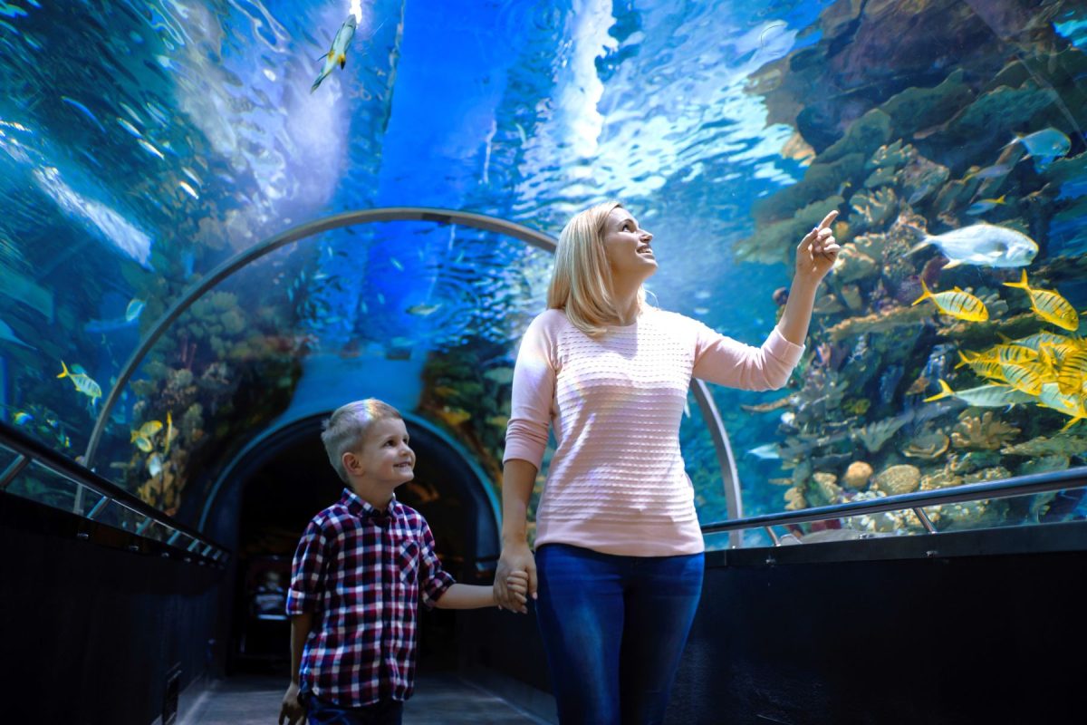 mother and son watch fish in aquarium in Florida 