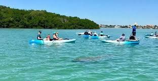 Kayaking SRQ