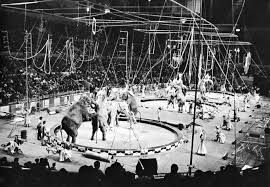 Ringling Circus