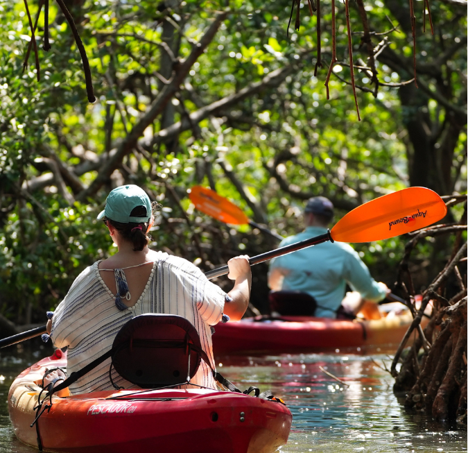 Two people paddling red kayaks through a thick canopy of green mangrove trees.