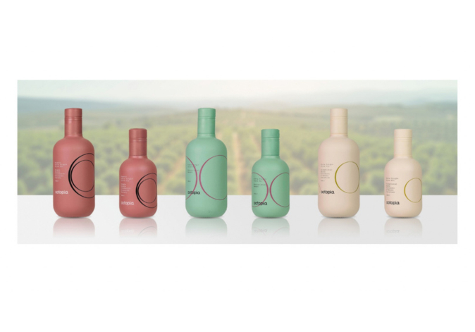 Row of matte pastel-colored reusable glass water bottles on a counter.